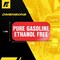 Fuel Stickers No Ethanol Sticker, Ethanol Free:  Fuel Can & Outdoor Power Equipment, Hvy-Dty, 2''x1'', 4PK Z-2X1PGEF-4PK - alternate 3